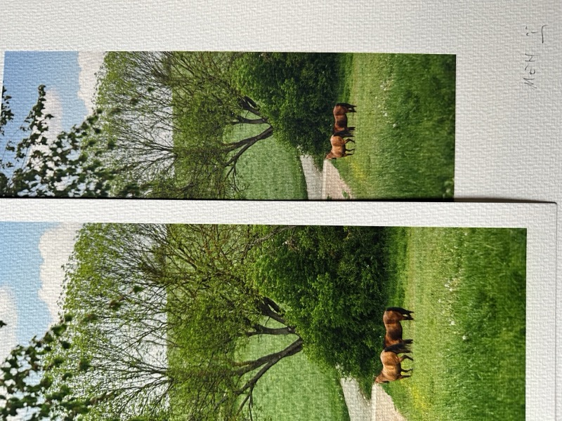 links ein alter Druck, rechts ein neuer; achtet rechts unten auf das grüne Gras und die Büsche im Hintergrund